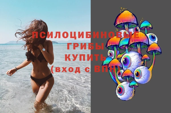 дживик Абинск
