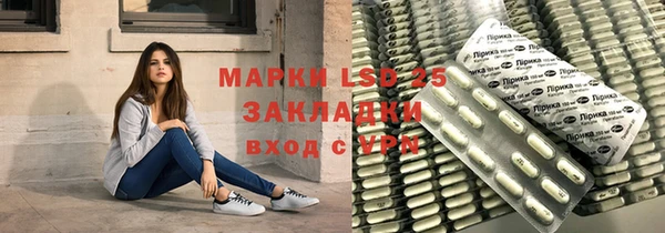 дживик Абинск