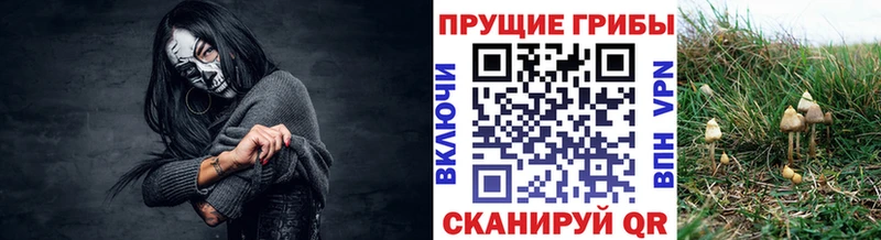 Псилоцибиновые грибы MAGIC MUSHROOMS  где купить   Зеленодольск 