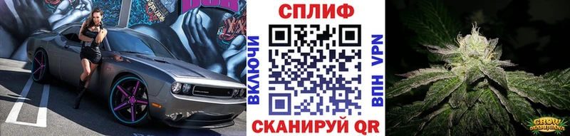 Бошки марихуана Bruce Banner  кракен как зайти  Зеленодольск 